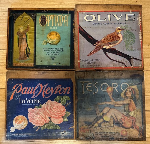 Lot rare fruit - 4,
